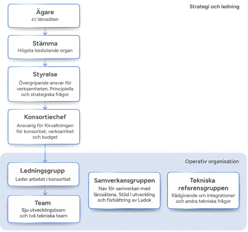 Organisationsschema över Ladokkonsortiet. Strategi och ledning: ägare (43 lärosäten), stämma, styrelse och konsortiechef. Operativ organisation: ledningsgrupp, sju utvecklingsteam och två tekniska team, Samverkansgruppen och Tekniska referensgruppen.
